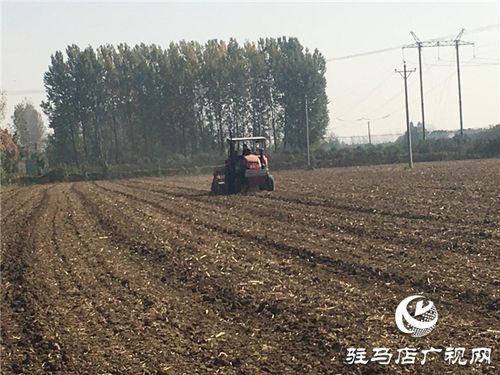 噸源種業(yè)召開(kāi) 福高2號(hào) 播種現(xiàn)場(chǎng)會(huì)