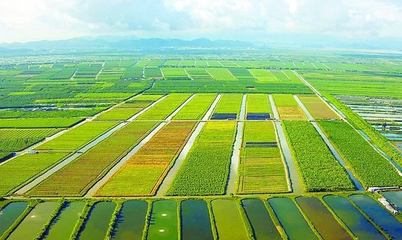 泰安汶農種業有限責任公司