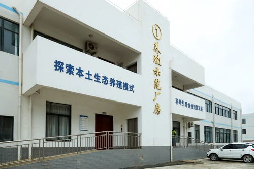 文昌馮家灣現代化漁業產業園 打造水產種業硅谷，讓水產住進“別墅”