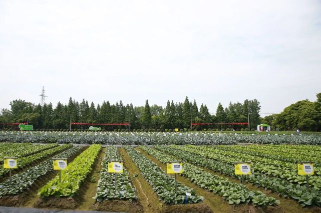 2022浙江種業(yè)博覽會明日盛大開幕，助推現(xiàn)代種業(yè)創(chuàng)新發(fā)展