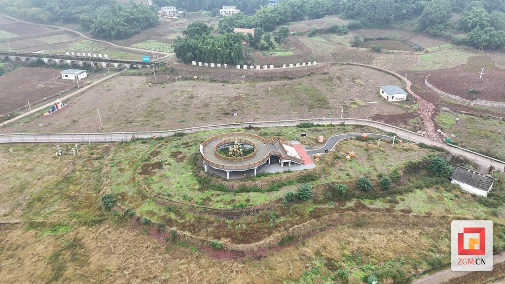 永安鎮(zhèn)大豆種業(yè)基地豐收喜人，2000畝油菜輪種續(xù)寫豐收篇章