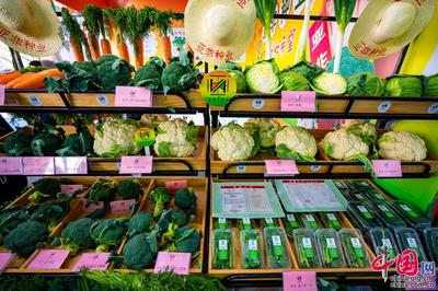 種業振興，改變世界 第二十九屆中國北京種業大會特色產品璀璨亮相